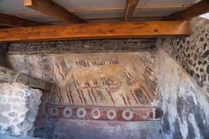 A mural of a jaguar. Possible for a lot more of the complex to have been similarly decorated, but lost to time.