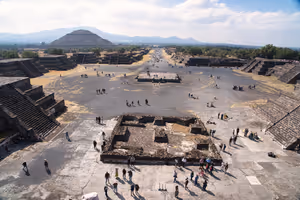 A full reverse view.