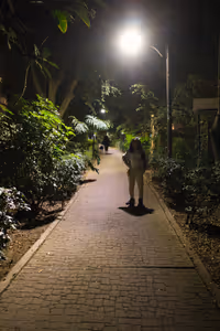 Walking home from dinner, through some lovely neighbourhoods, and walkways set in the middle of the street.