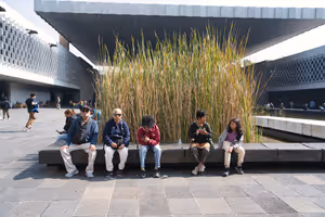 Taking a brief break in the sunshine