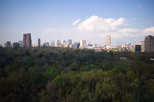 Mexico city beyond the park