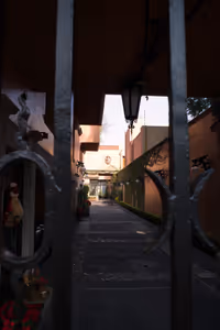 Peeking into houses and courtyards 