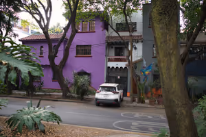 Lovely Condesa neighborhood walks.