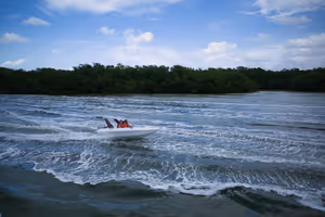 Speedboat tours were also quite popular. 2-man craft that you take to visit the mangroves, or take you to go snorkeling.