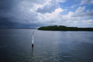 A local resident watches us go by