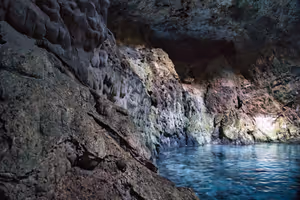 The walls of the Cenote