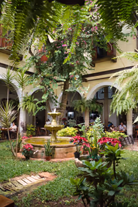 Very green, and lush.