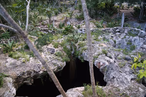 A view from above. The only light for the Cenote.