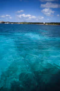 Shallow reef, where we were supposed to stop for some snorkeling. It was too windy, so that plan was cancelled.