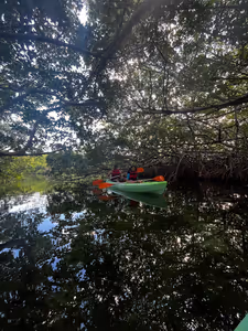 The guide was hoping to spot some rays here, but no luck.
