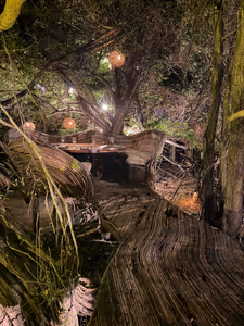 A special table for a special meal.