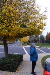 Getting ready to go for a walk